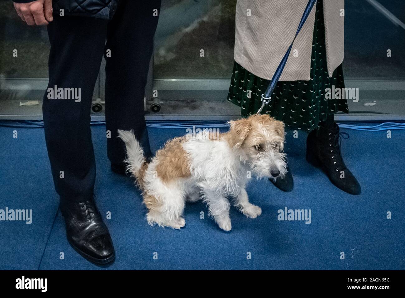 Elezioni generali Night 2019: Il partito conservatore sarebbe andato avanti per vincere una frana che assicura la loro maggioranza più grande dal 1987. Londra, Regno Unito Foto Stock