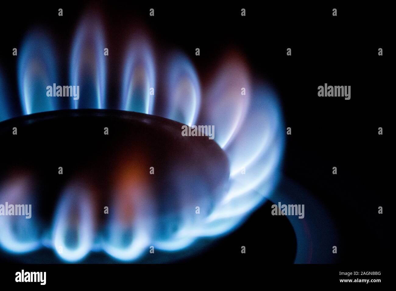 Una fiamma blu emette da un fornello a gas. Foto Stock