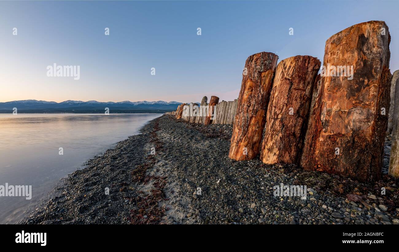 Goose spit Regional Park Beach con i registri sull'Isola di Vancouver, nel Comox Valley, British Columbia, Canada Foto Stock