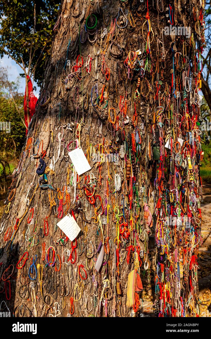 Choeung Ek del genocidio di centro (i Killing Fields) Phnom Penh Cambogia. Foto Stock