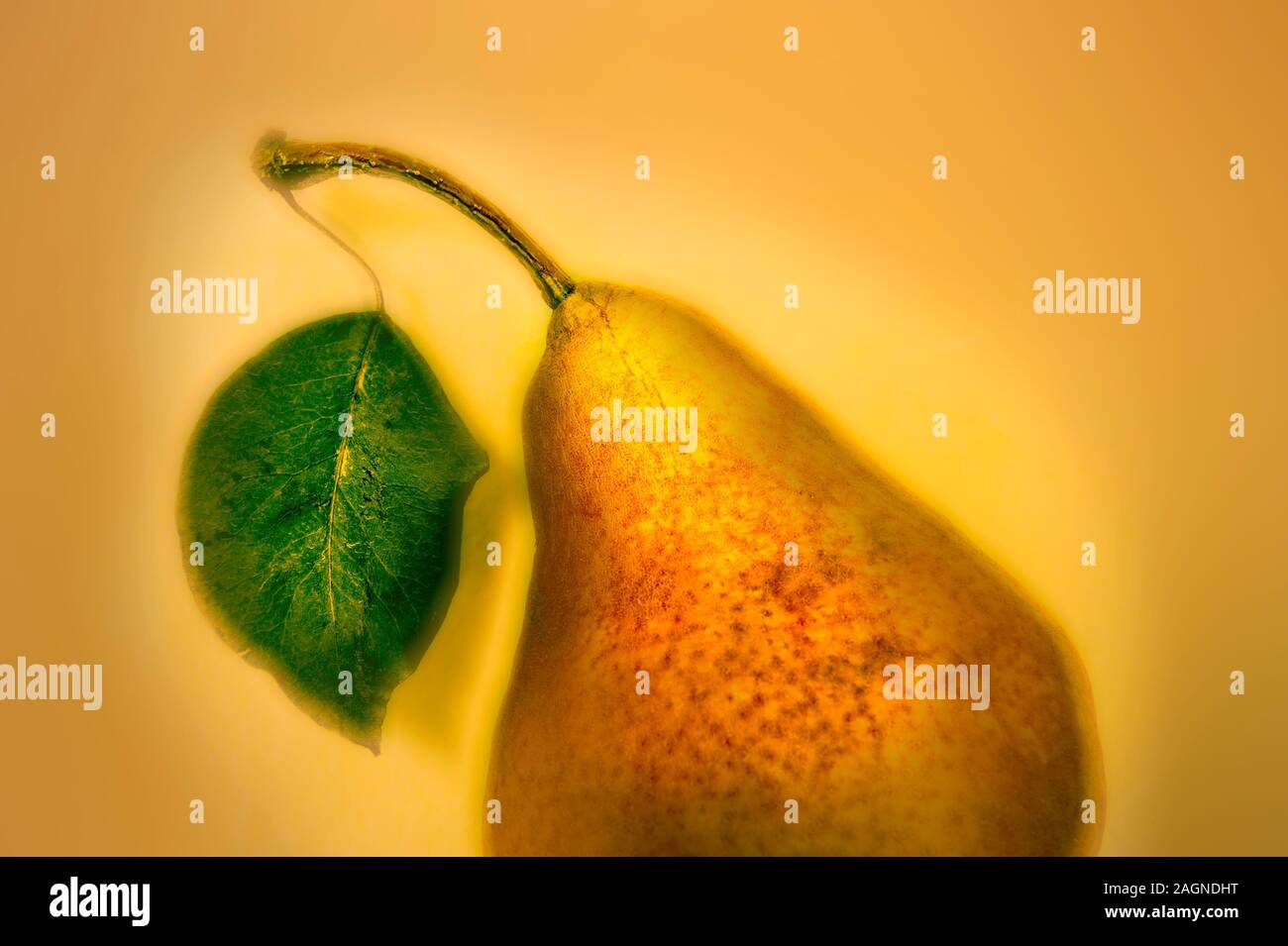 Interpretazione artistica di appena raccolte pare a Mason County, Michigan, Stati Uniti d'America. Foto Stock