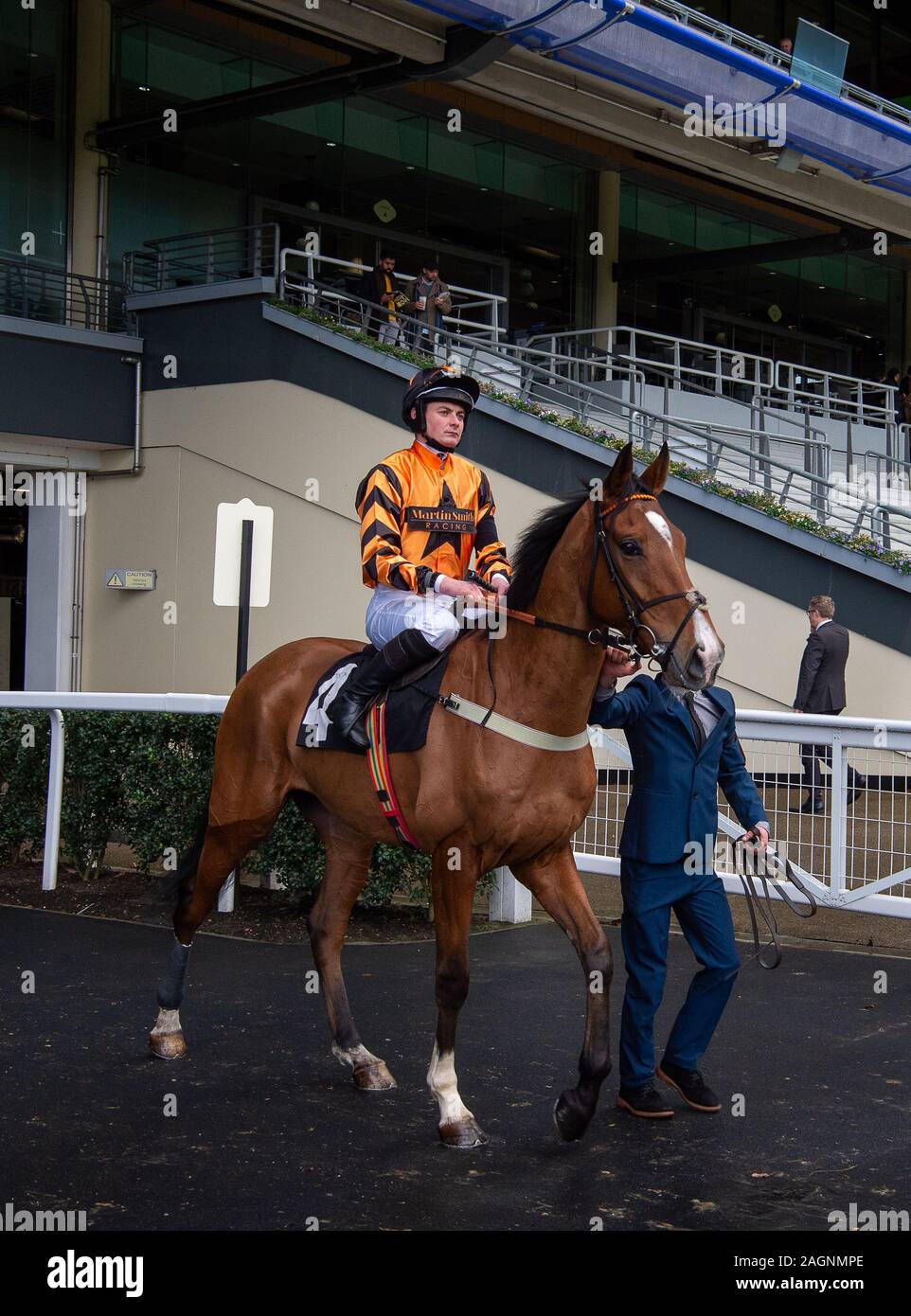 Ascot famiglia natale Racing Weekend, Ascot Racecourse, Berkshire, Regno Unito. Xx Dicembre, 2019. Jockey Eoin Walsh il cavallo gli amici non chiedere prima la fanciulla Eventmasters corsa ad ostacoli. Credito: Alamy/Maureen McLean Foto Stock