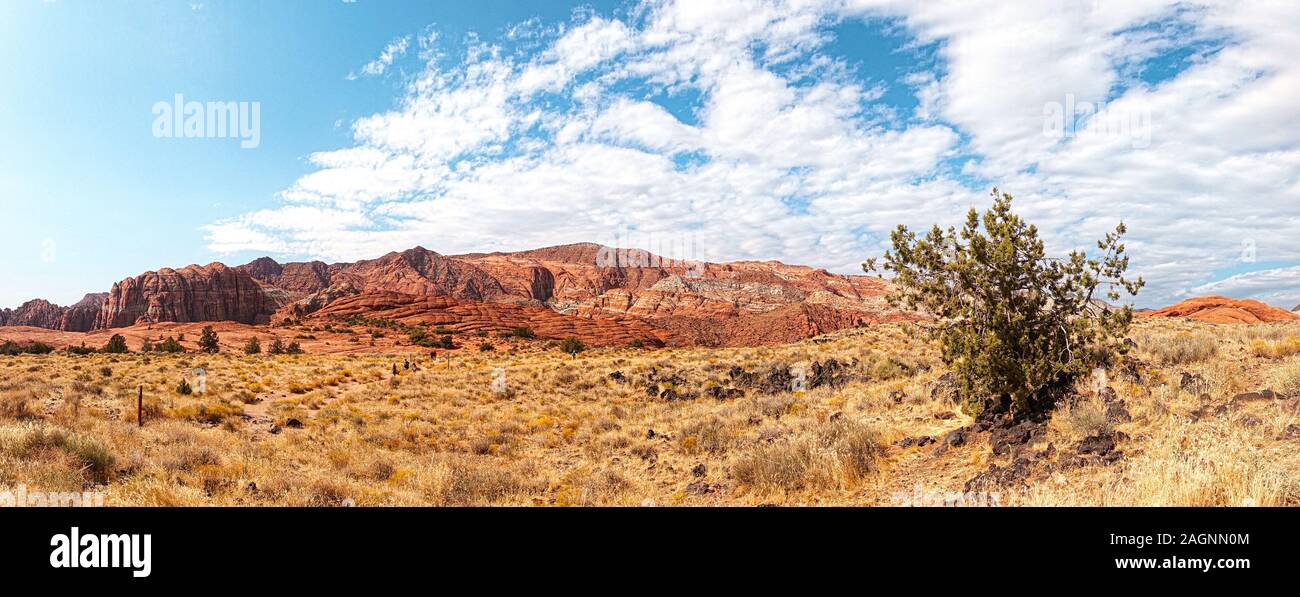 Snow Canyon State Park è un parco dello stato dello Utah, Stati Uniti d'America, dotate di un canyon scolpiti dal rosso e bianco arenaria Navajo nella Red montagne. Foto Stock