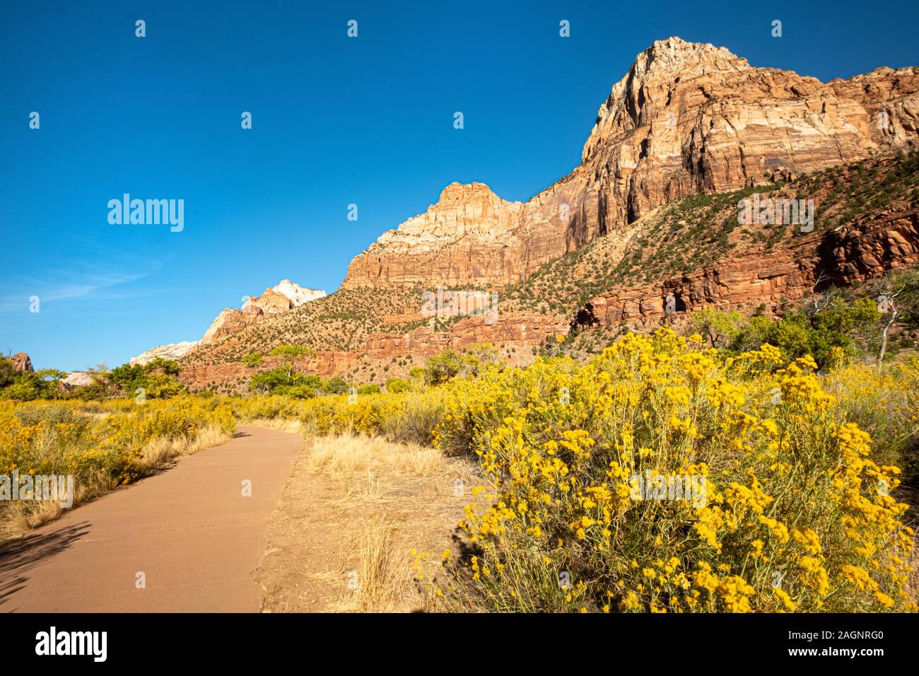 Parco Nazionale di Zion è un sud-ovest Utah Nature Preserve contraddistinto da Zion Canyon di ripide scogliere rosso. Foto Stock