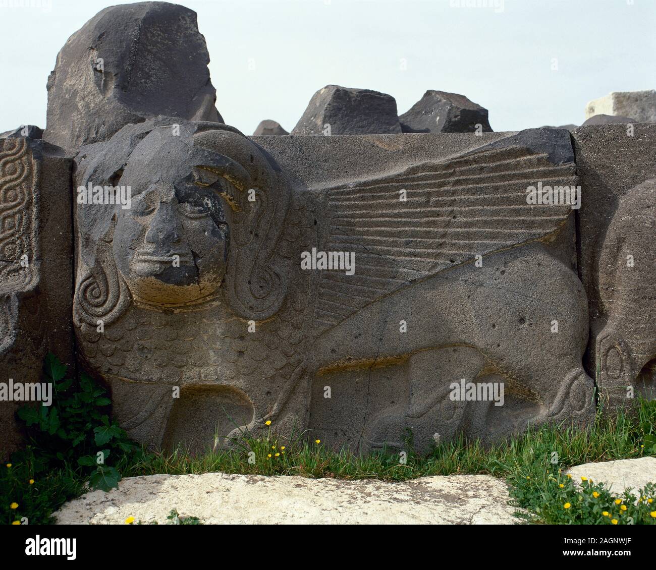 La Siria. Ain Dara. Età del ferro Syro-Hittite tempio, c. 1300 BC-740 BC. Pietra basaltica plinto con Sphinx. Dettaglio. Foto prima della Siria guerra civile. Il sanctuarye è stata notevolmente danneggiata da Bagno turco Forze Aeree nel 2018. Foto Stock