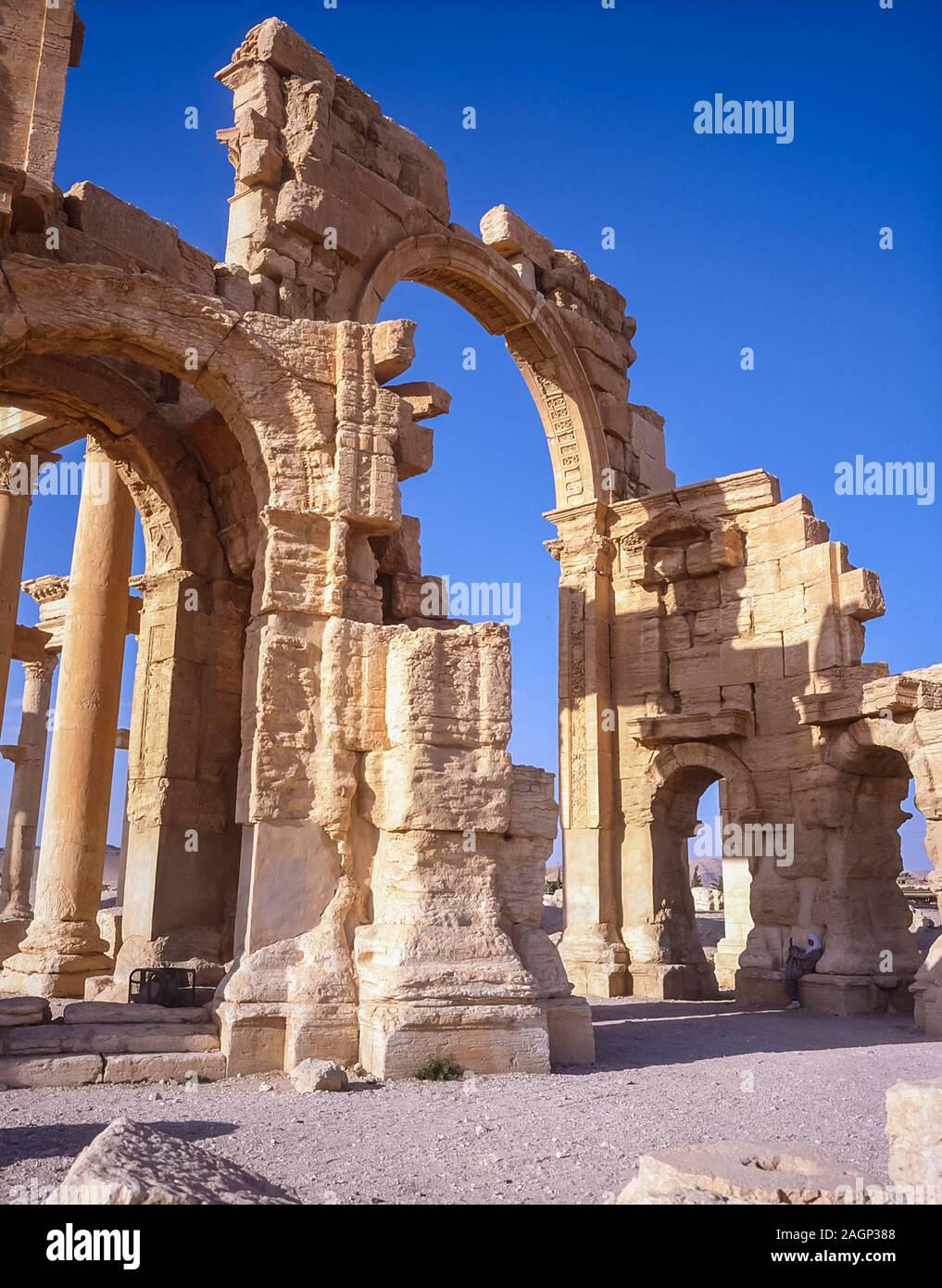 Siria. Le rovine della città romana di Palmyra costruita intorno 200-250AD proiettarono grande grandezza e prosperità del mondo antico sotto il dominio romano. La città è stata dominata dalla vasta fortezza della regina Zenobia, che è stato mentale costantemente sfidato dall'autorità della Roma potente, che ha portato alla creazione della parola Zenophobia e Zenophobia Foto Stock