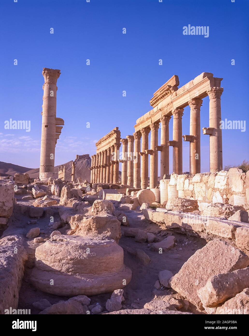 Siria. Le rovine della città romana di Palmyra costruita intorno 200-250AD proiettarono grande grandezza e prosperità del mondo antico sotto il dominio romano. La città è stata dominata dalla vasta fortezza della regina Zenobia, che è stato mentale costantemente sfidato dall'autorità della Roma potente, che ha portato alla creazione della parola Zenophobia e Zenophobia Foto Stock