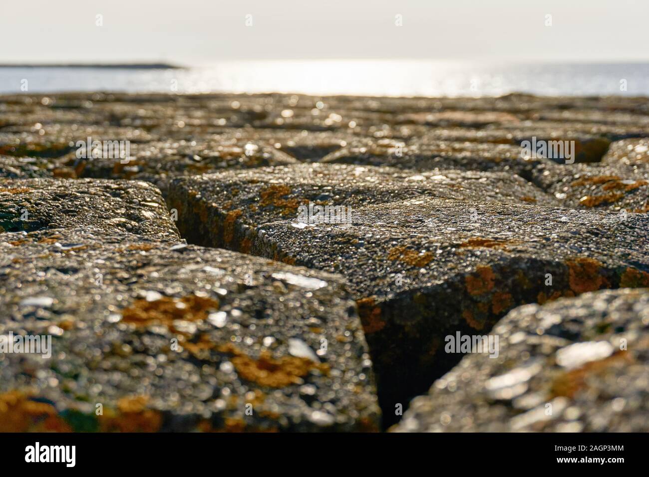 Close-up di pietre di basalto con lichene giallo nella parte anteriore del unsharp seascape con tramonto Foto Stock