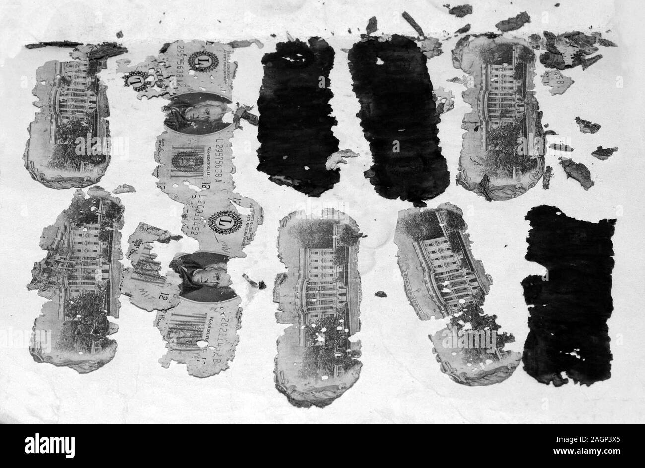 Il denaro recuperato da D.B. Cooper skyjacking caso nel Pacifico nord-ovest. Dan Cooper è lo pseudonimo di un uomo non identificato che hanno dirottato una aeromobili Boeing 727 nel nord-ovest degli Stati Uniti, nello spazio aereo tra Portland, Oregon, Seattle, Washington, nel pomeriggio di Mercoledì, Novembre 24, 1971. L'uomo ha acquistato il suo biglietto aereo tramite l'alias Dan Cooper ma, a causa di un problema di comunicazione di notizie, divenne noto nel folclore popolare come D. B. Cooper. Egli ha estorto 200.000 dollari in riscatto (equivalente a $1,240,000 nel 2018) e paracadutato a un destino incerto. Foto Stock