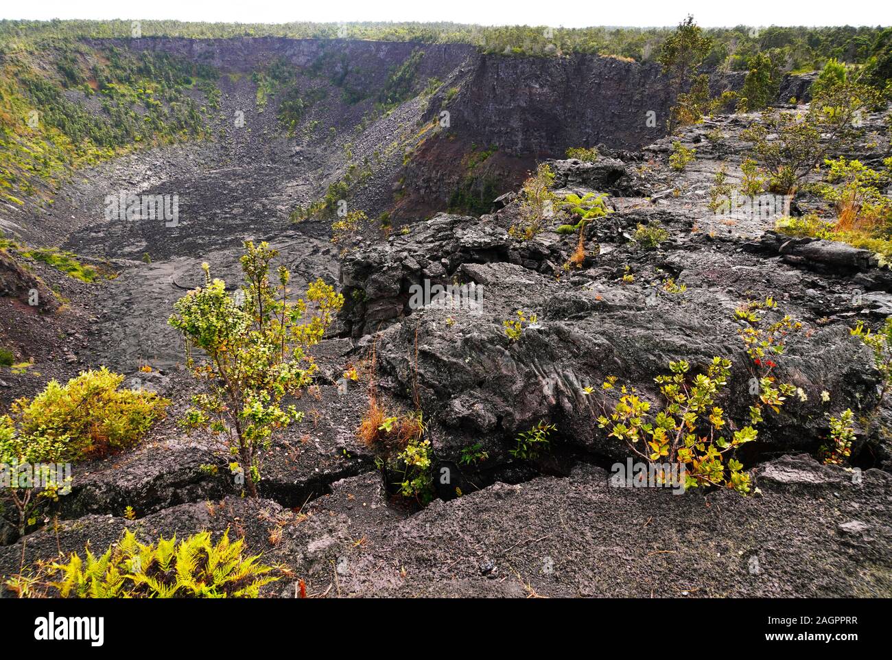 Piccolo inattivo il cratere vulcanico del Kilauea vulcano attivo nel Parco Nazionale dei Vulcani, Big Island delle Hawai'i. Foto Stock