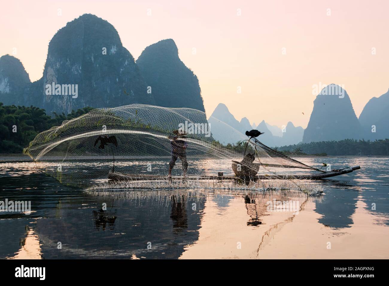 Xingping, Cina - 5 Novembre 2019: Ritratto di un cormorano pescatore al tramonto con un tradizionale metodo di pesca per la cattura di pesci di fiume Foto Stock