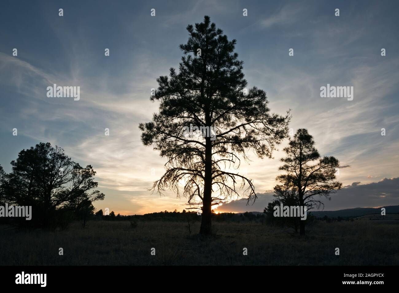 NM00198-00...NEW MEXICO - tramonto da un campeggio dispersa al di sotto di Collins Park, andando verso nord sulla grande divario percorso per mountain bike. Foto Stock