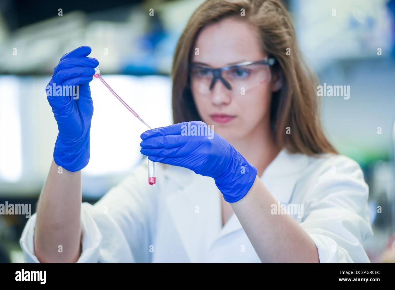 Donna ricerca lavoro in bio-laboratorio di analisi mediche Foto Stock