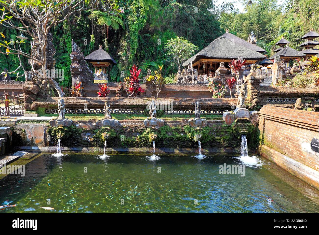 Uno dei sette piscine che offre acqua santa o di balneazione a Pura Gunung Kawi Sebatu tempio, Tegallelang. Nei pressi di Ubud. Bali, Indonesia Foto Stock Uno dei sette piscine che offre acqua santa o di balneazione a Pura Gunung Kawi Sebatu tempio, Tegallelang. Nei pressi di Ubud. Bali, Indonesia Foto Stock