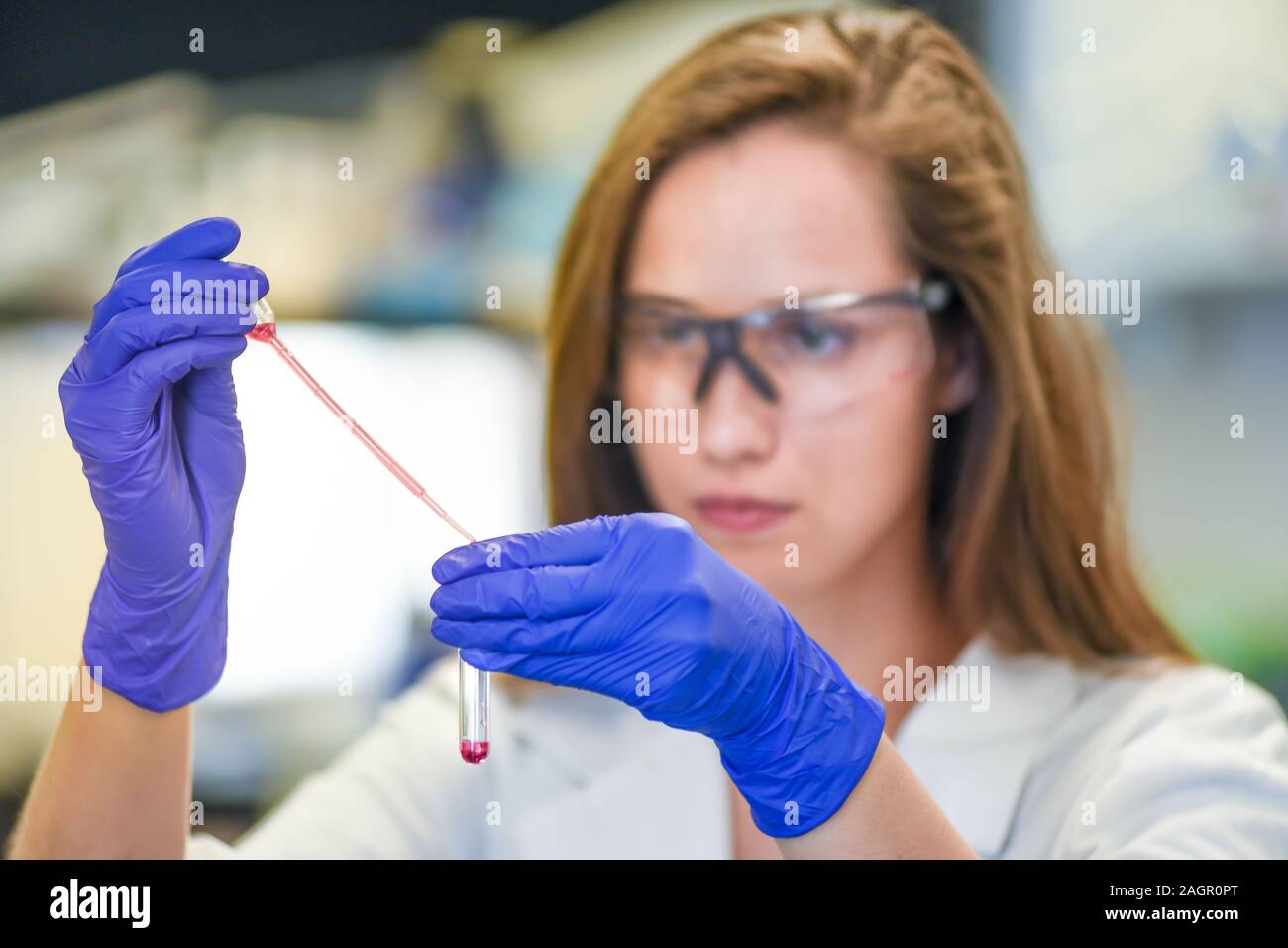 Donna ricerca lavoro in bio-laboratorio di analisi mediche Foto Stock