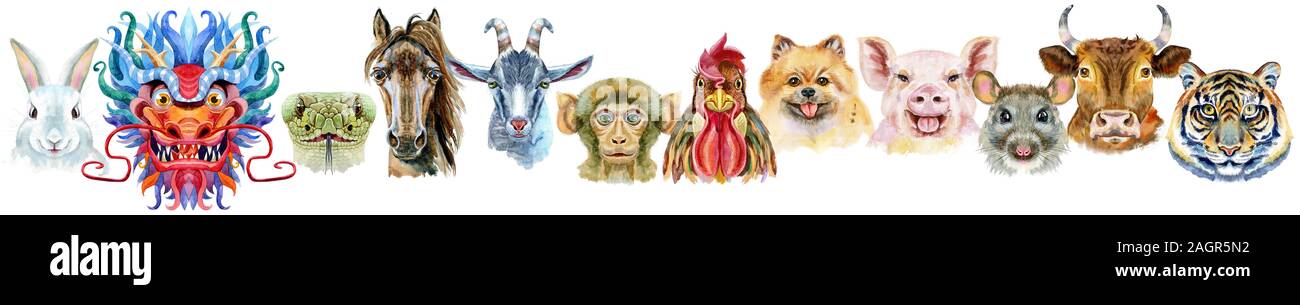 Confine dall acquarello cinese dodici animali dello zodiaco Foto Stock