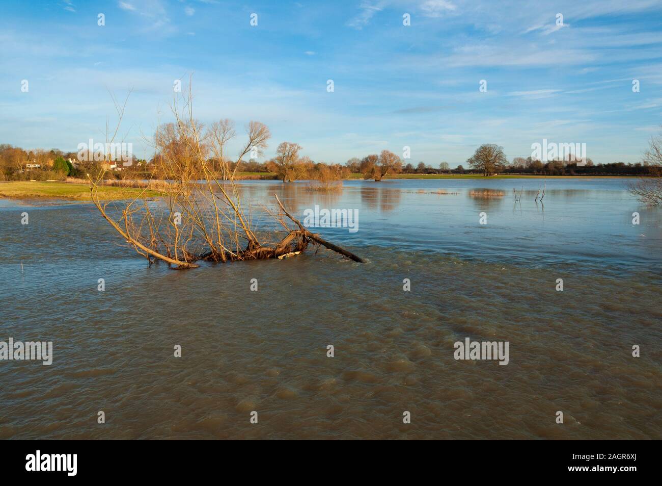 Campi allagati vicino Radwell Bedfordshire England Regno Unito nel gennaio 2014 quando vi è stato gravi inondazioni in molte parti della Gran Bretagna Foto Stock