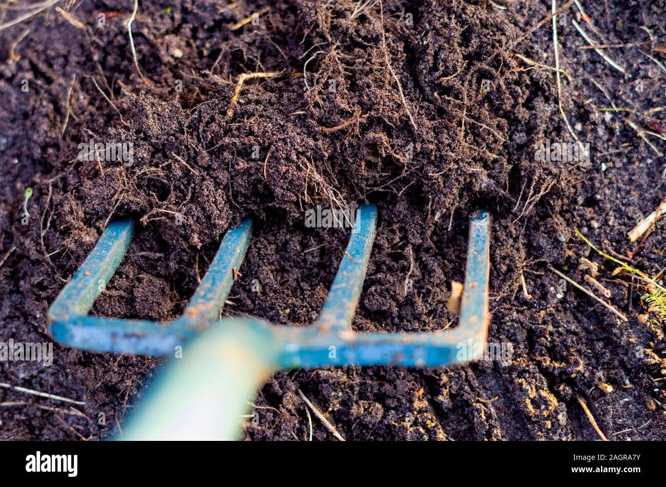 Il giardinaggio. Terreno sano piena di vita radici, incorporante il compost nel suolo. Organico concimazione organica nella produzione di raccolto. Natur sostenibile Foto Stock