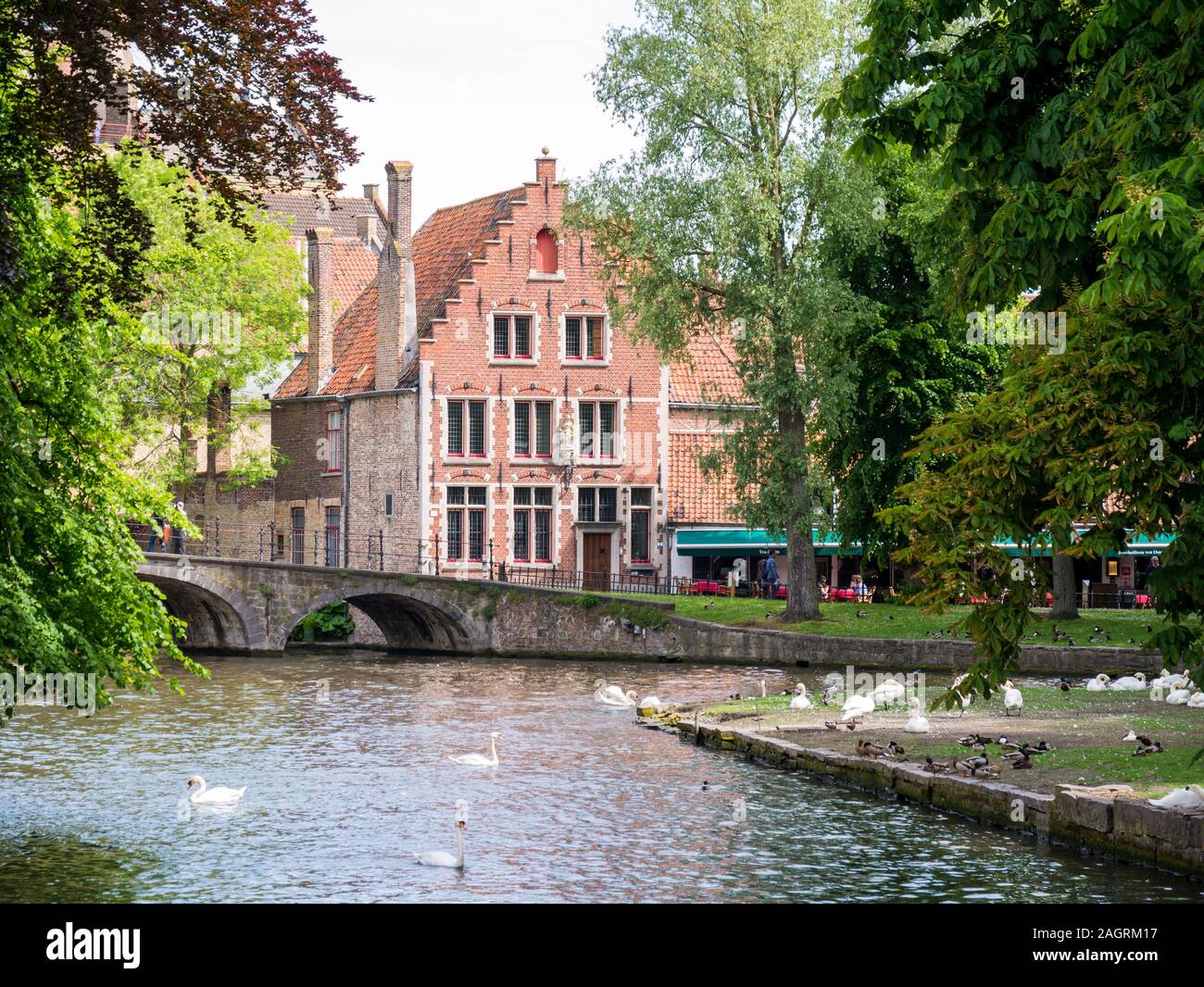 Bridge, canal e la vecchia casa sulla piazza Wijngaardplein a Bruges, Belgio Foto Stock