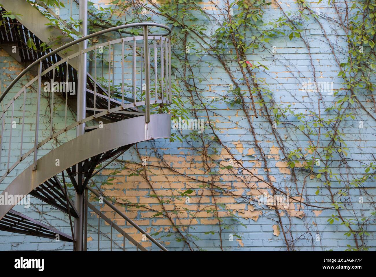 Blu e beige e dipinto di un muro di mattoni, piante rampicanti, scale all'aperto nel vicolo di Montreal Foto Stock