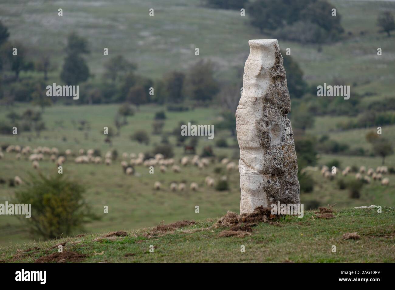 Menhires, Megalítico Parque de Legaire, Campas de Legaire , la provincia di Álava, Pais Vasco, Spagna. Foto Stock