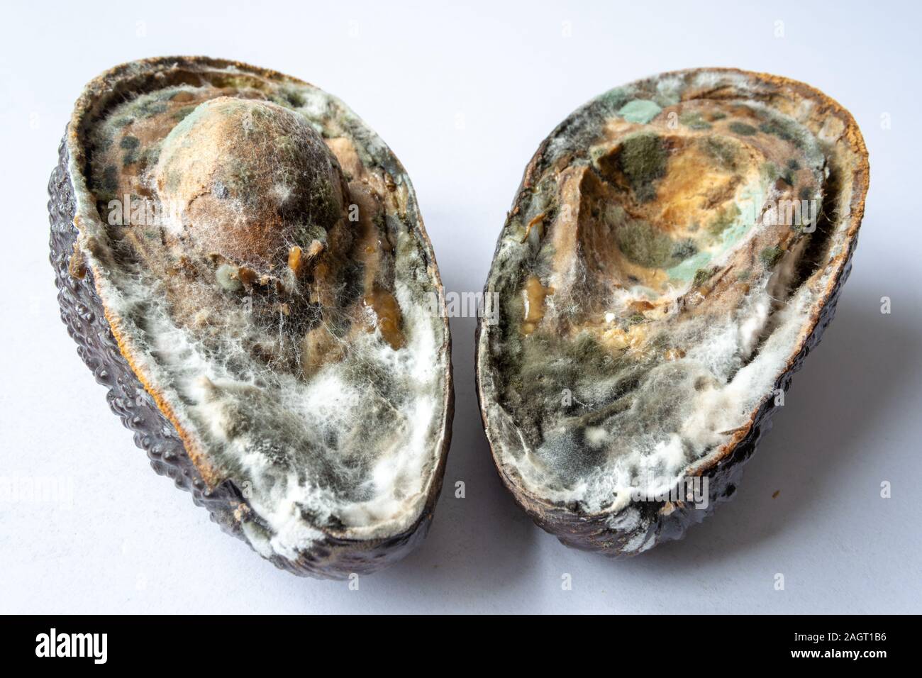 Viziati bad avocado con stampo tagliati a metà 2 Foto Stock