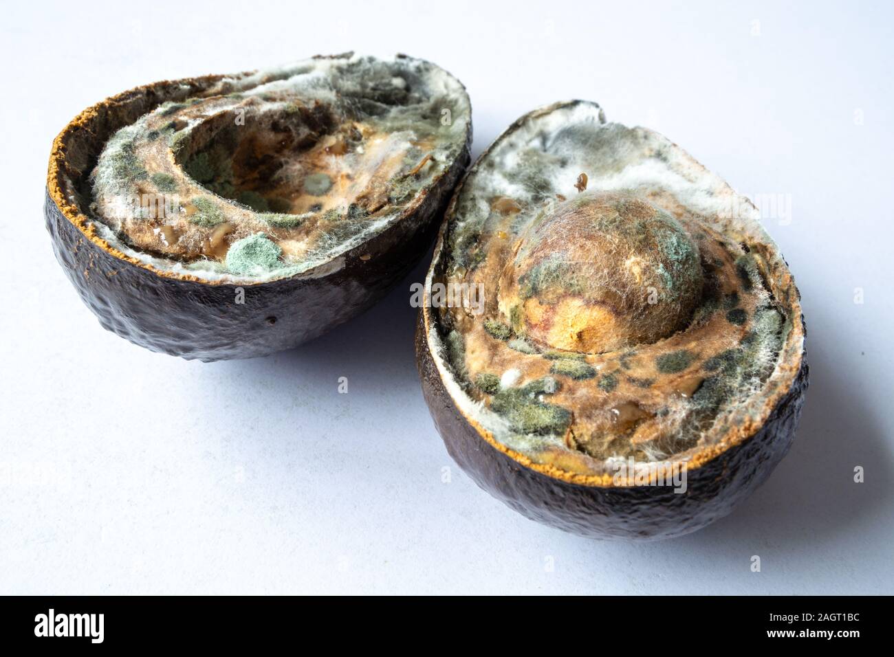 Viziati bad avocado con stampo tagliati a metà 1 Foto Stock