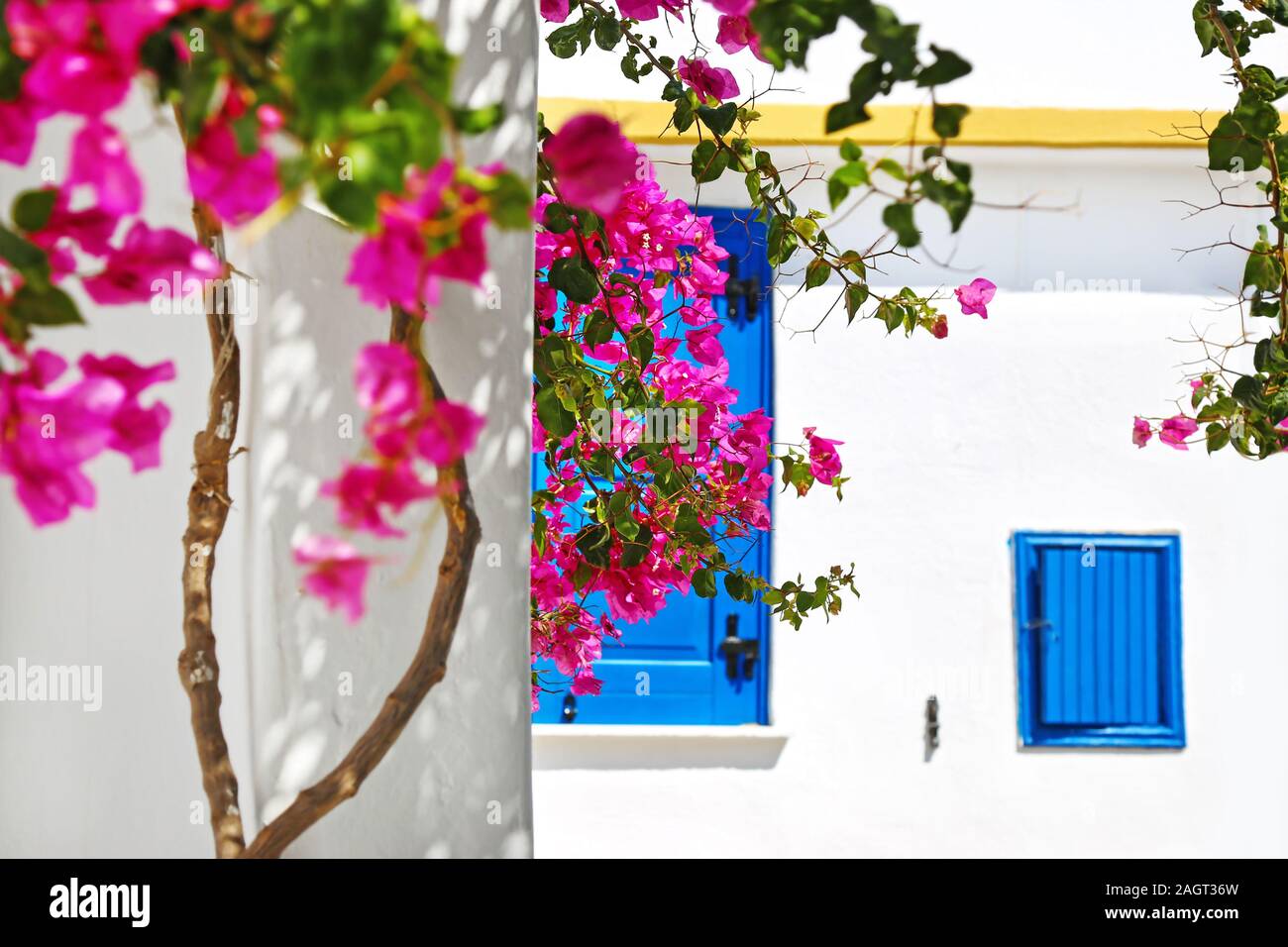 Scena tradizionale delle case a Koufonissia Isole Cicladi Grecia - rosa fiori di bouganville e case tradizionali con blu di Windows Foto Stock