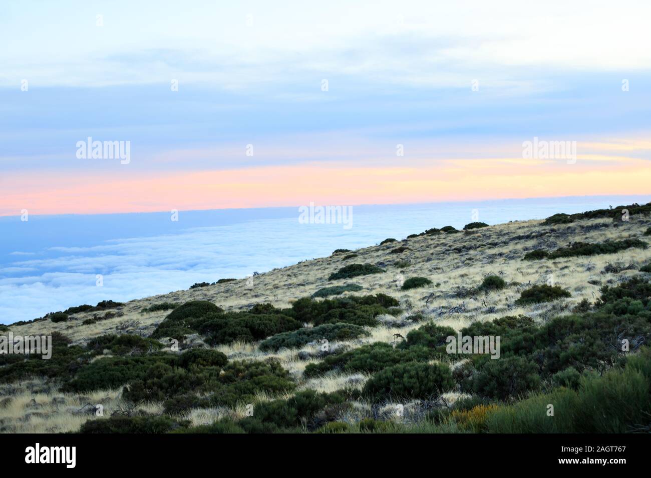 Vista panoramica del vulcano Teide Foto Stock