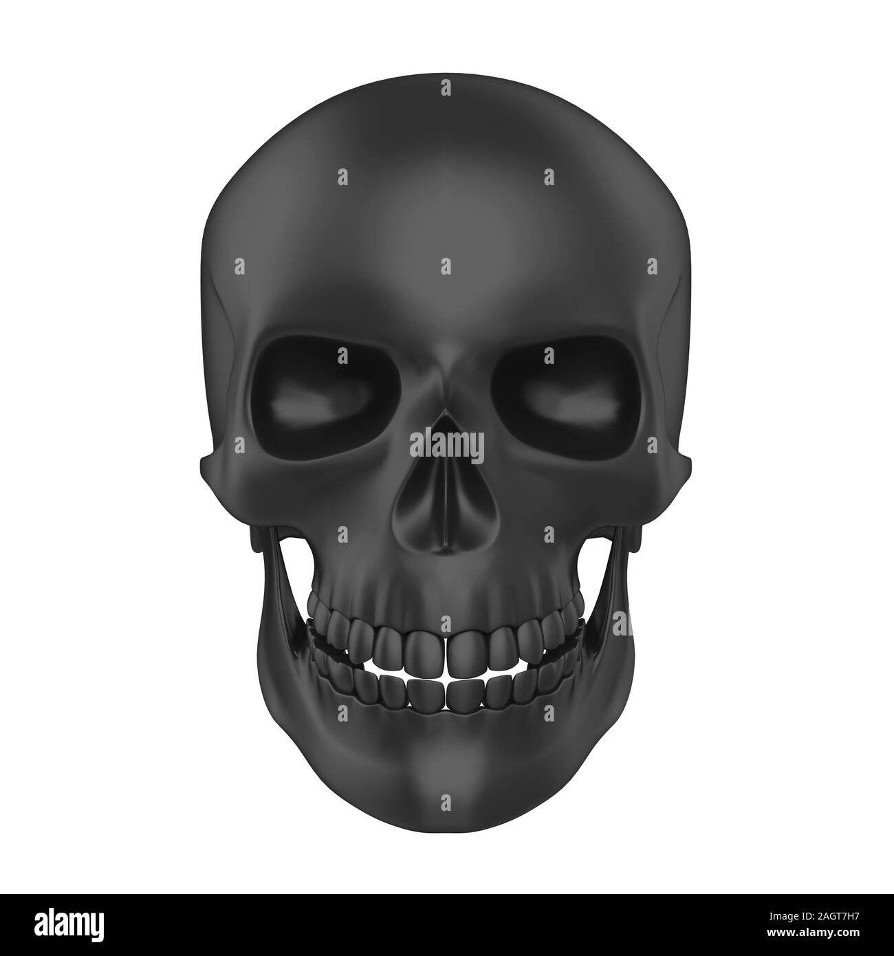 Cranio umano isolato Foto Stock