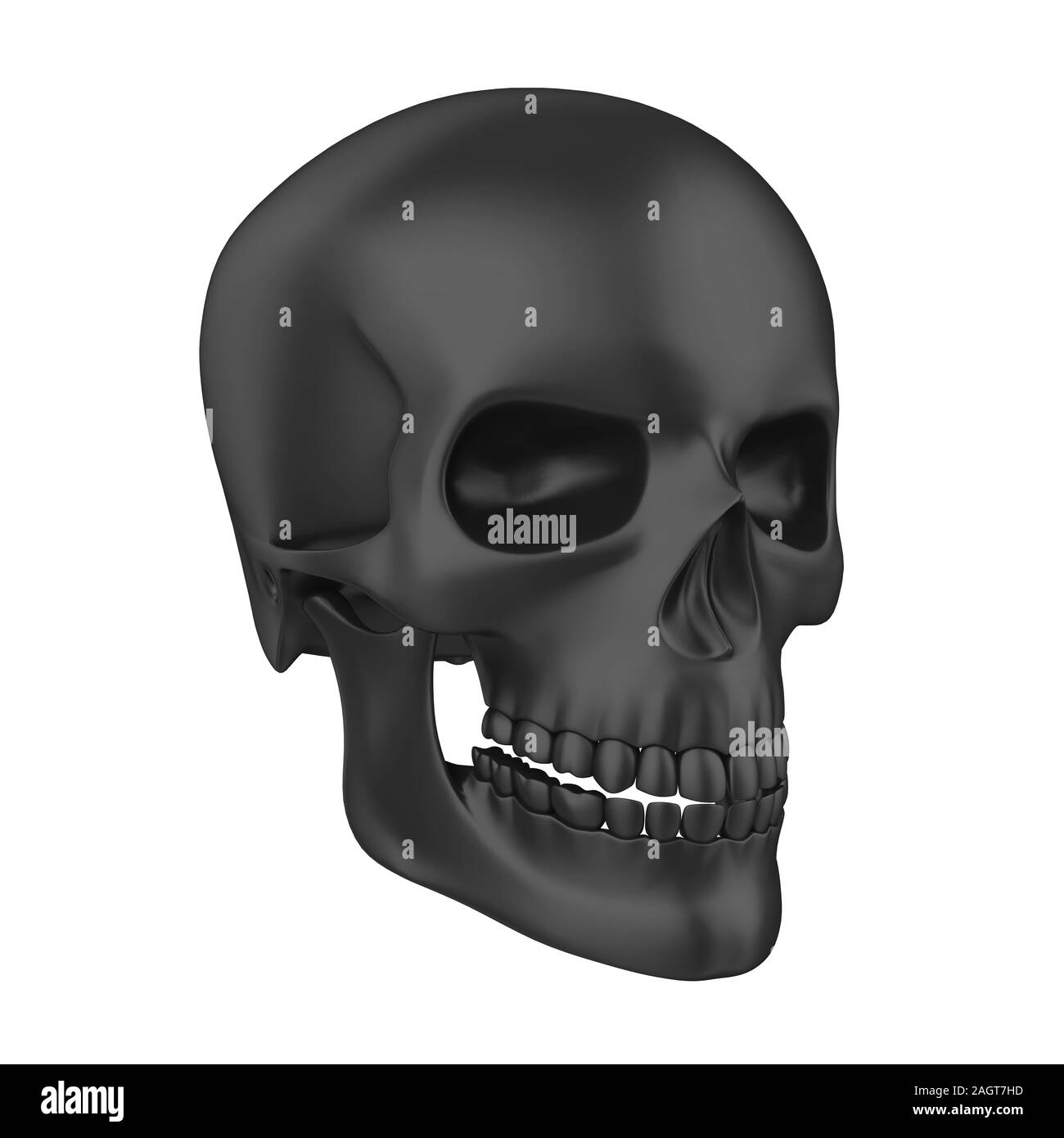 Cranio umano isolato Foto Stock