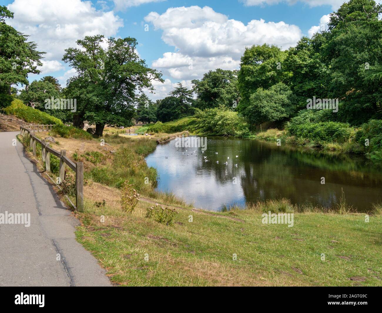 Fiume Lin come a scorre attraverso Glenfield Lodge Park vicino a Newtown Linford in estate, Leicestershire, England, Regno Unito Foto Stock