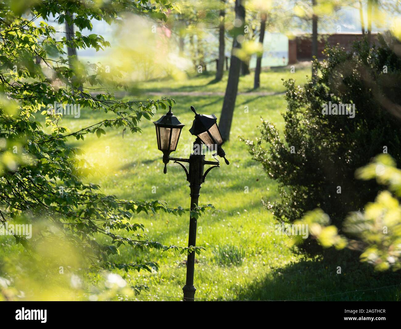 Vintage lampione o alta lampada o lampione elettrico con alberi verdi e un parco o giardino sullo sfondo Foto Stock