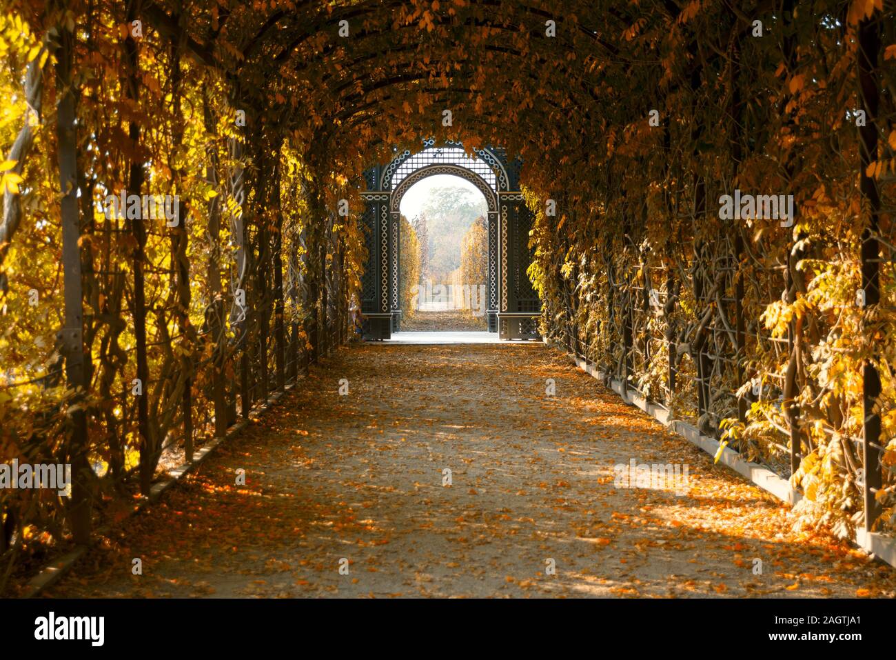 Park pergola in autunno, vista interna Foto Stock
