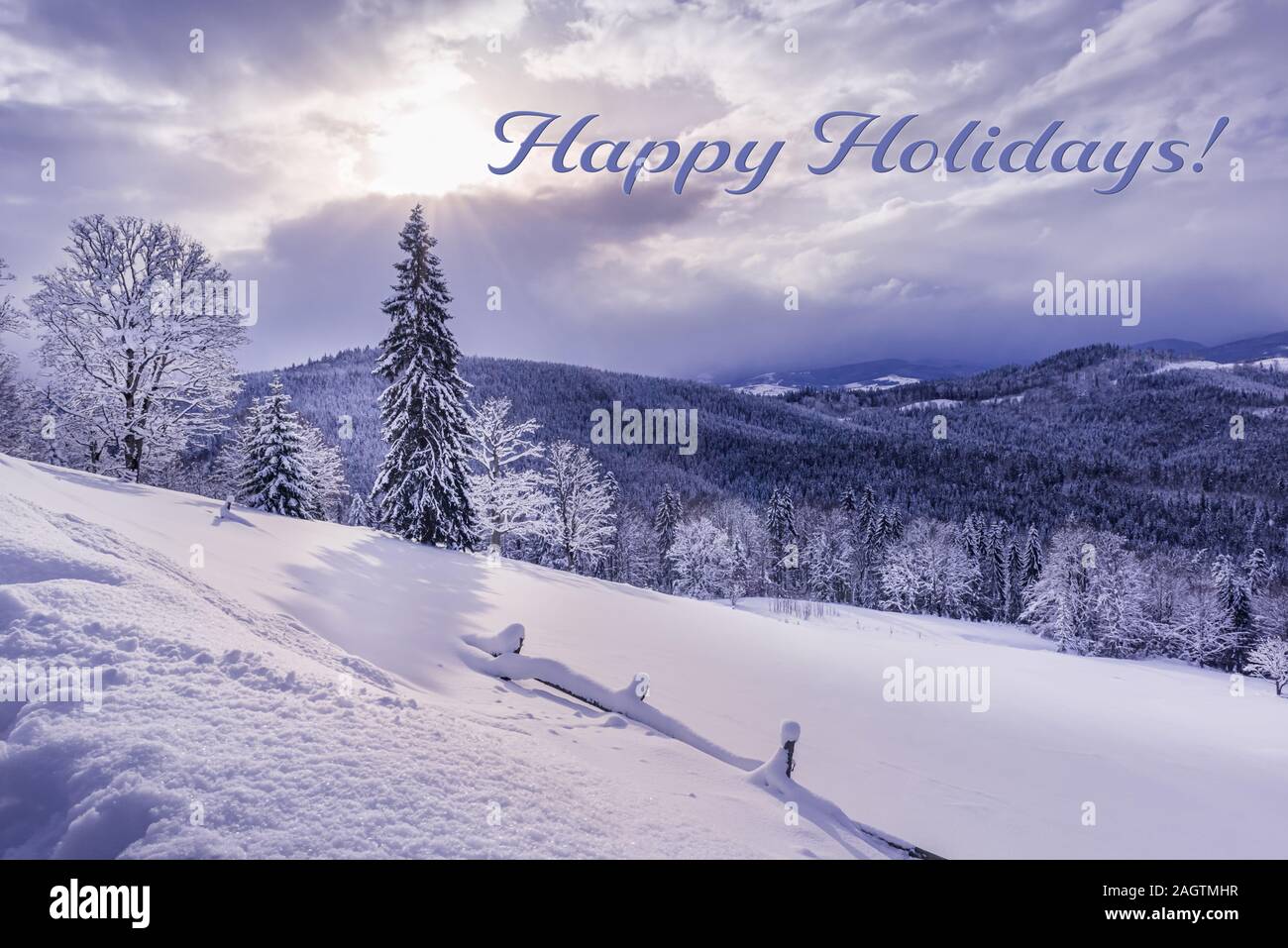 Stagionale della scheda Messaggi di saluto con un bellissimo paesaggio invernale. Carpazi sono coperti da bosco misto e pesante di neve fresca. Sole splende attraverso Foto Stock
