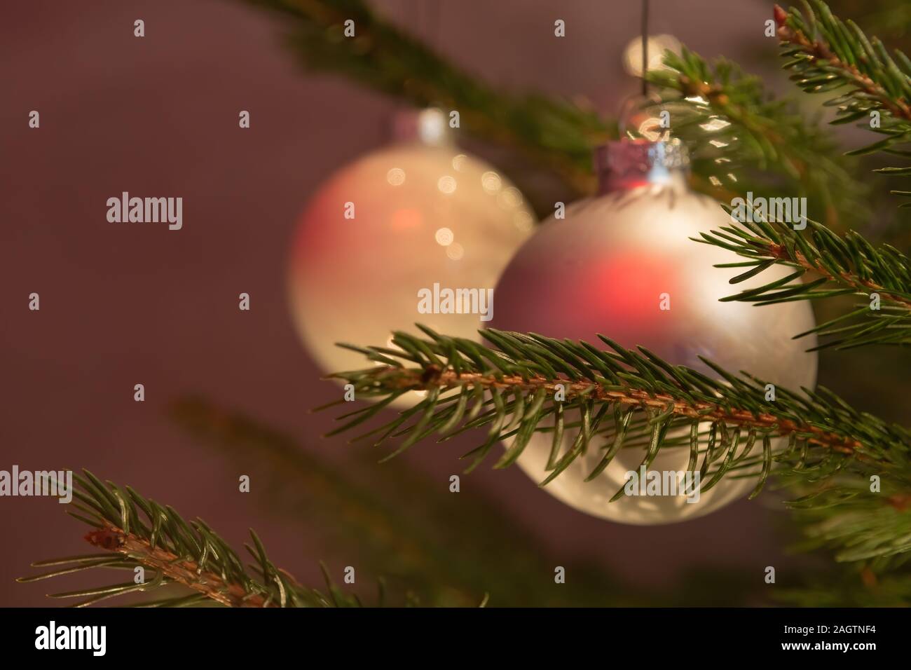 Vista dettagliata del vero albero di natale ramoscello e due pesche baubles colorati. Natale, vacanze e saluti stagionali concetti. Foto Stock