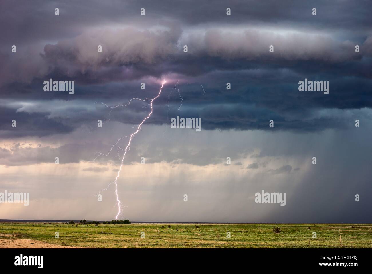 Le nubi drammatiche si raccolgono come un fulmine colpisce in un campo durante una tempesta di tuoni estiva vicino a Eads, Colorado Foto Stock