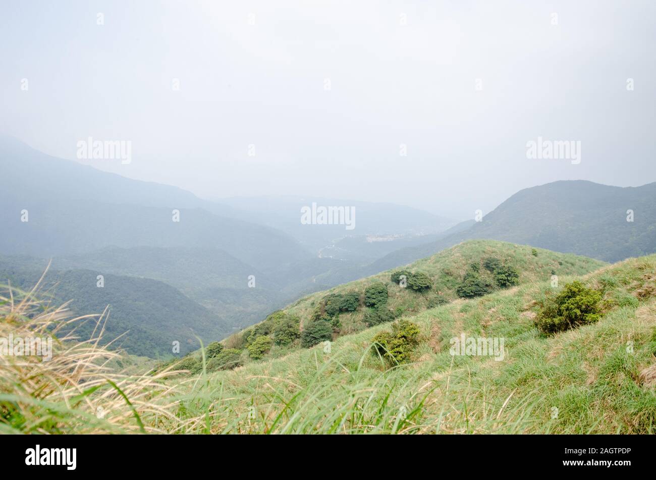 Un paesaggio collinare con lussureggiante verde erba al Yangminghshan National Park in Taiwan, Marzo 2019 Foto Stock