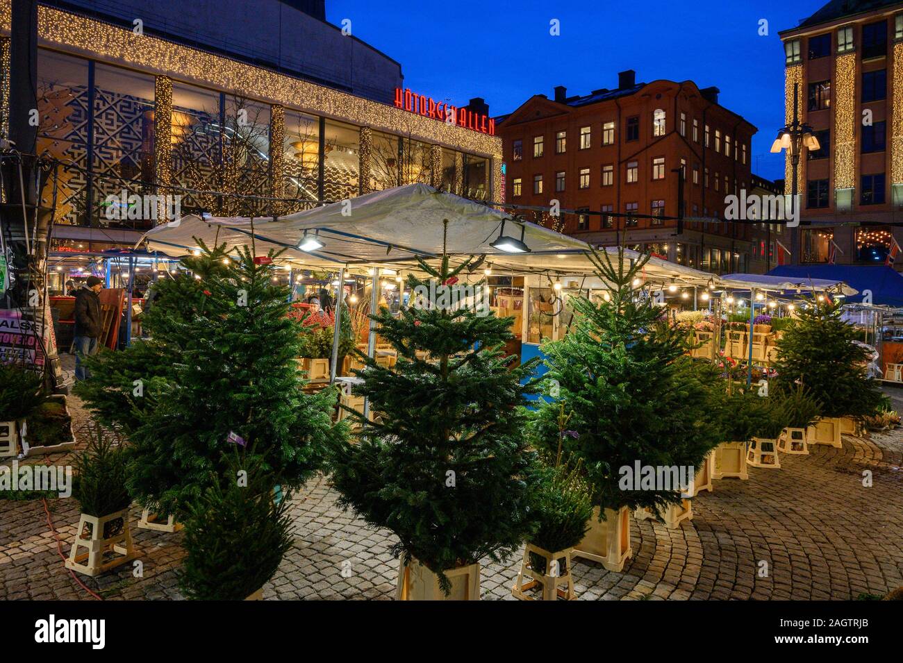 Stoccolma, Svezia, 18 Dicembre 2019: Natale atmosfera della città. Albero di natale vendita presso la piazza Hotorget nel centro di Stoccolma. Viaggi invernali Foto Stock