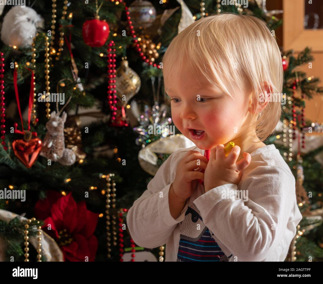 Lato vista di profilo di un giovane caucasian baby boy fissando la magia di un albero di Natale per la prima volta nella meraviglia Foto Stock