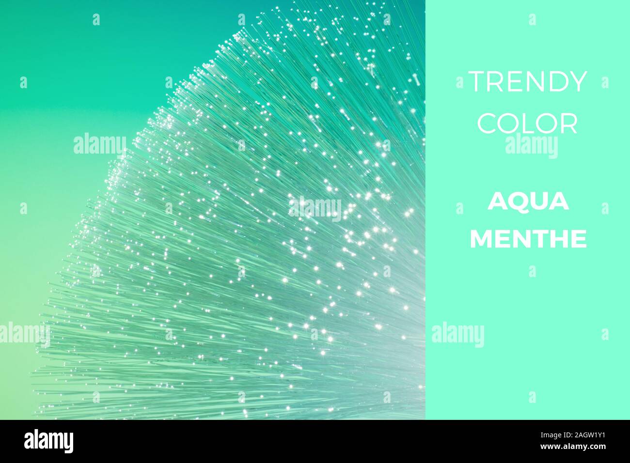 Aqua menthe - colore alla moda per 2020, tonica futuristico sfondo tecnologico, primo piano sulla estremità della fibra ottica cavo di rete Foto Stock