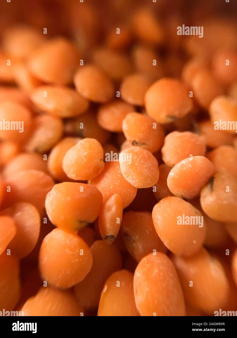 Rosso di materie organiche lenticchie granella closeup macro sfondo alimentare Foto Stock