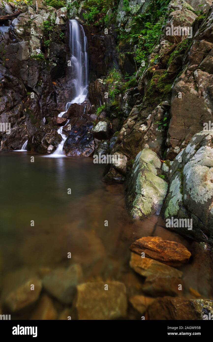 Vista di una cascata con la riflessione in acqua e rocce con lussureggianti piante verdi nel Parco Nazionale di Shenandoah Foto Stock