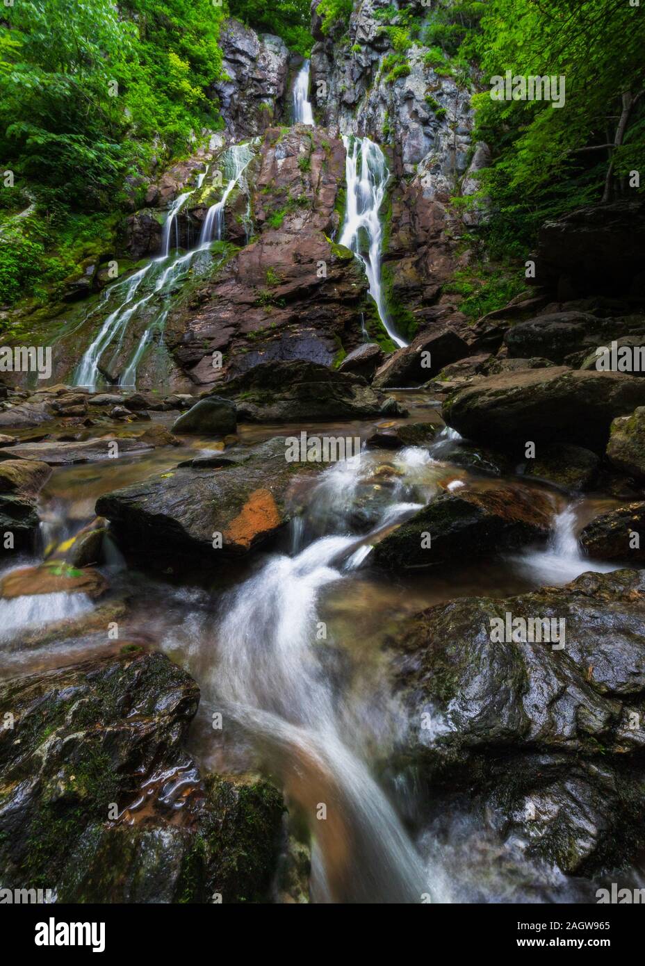 South River Falls e rapide in una foresta scura con pietre brillanti e lussureggianti alberi verdi nel Parco Nazionale di Shenandoah, Virginia Foto Stock