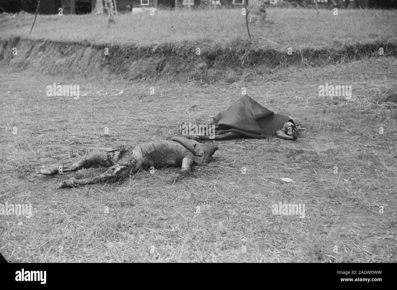 Al loro arrivo in Brastagi, le nostre truppe realizzato un conto sensazionale trovare. 18 cadaveri mutilati sono stati trovati in una tomba di massa. Qui si trovano due resti umani. Foto Stock