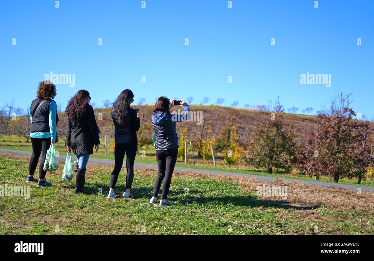 Di middelmark CT, Stati Uniti d'America. Nov 2019. Giovani donne amici prendendo una pausa e ammirare il paesaggio in una Nuova Inghilterra raccolta frutta frutteto. Foto Stock