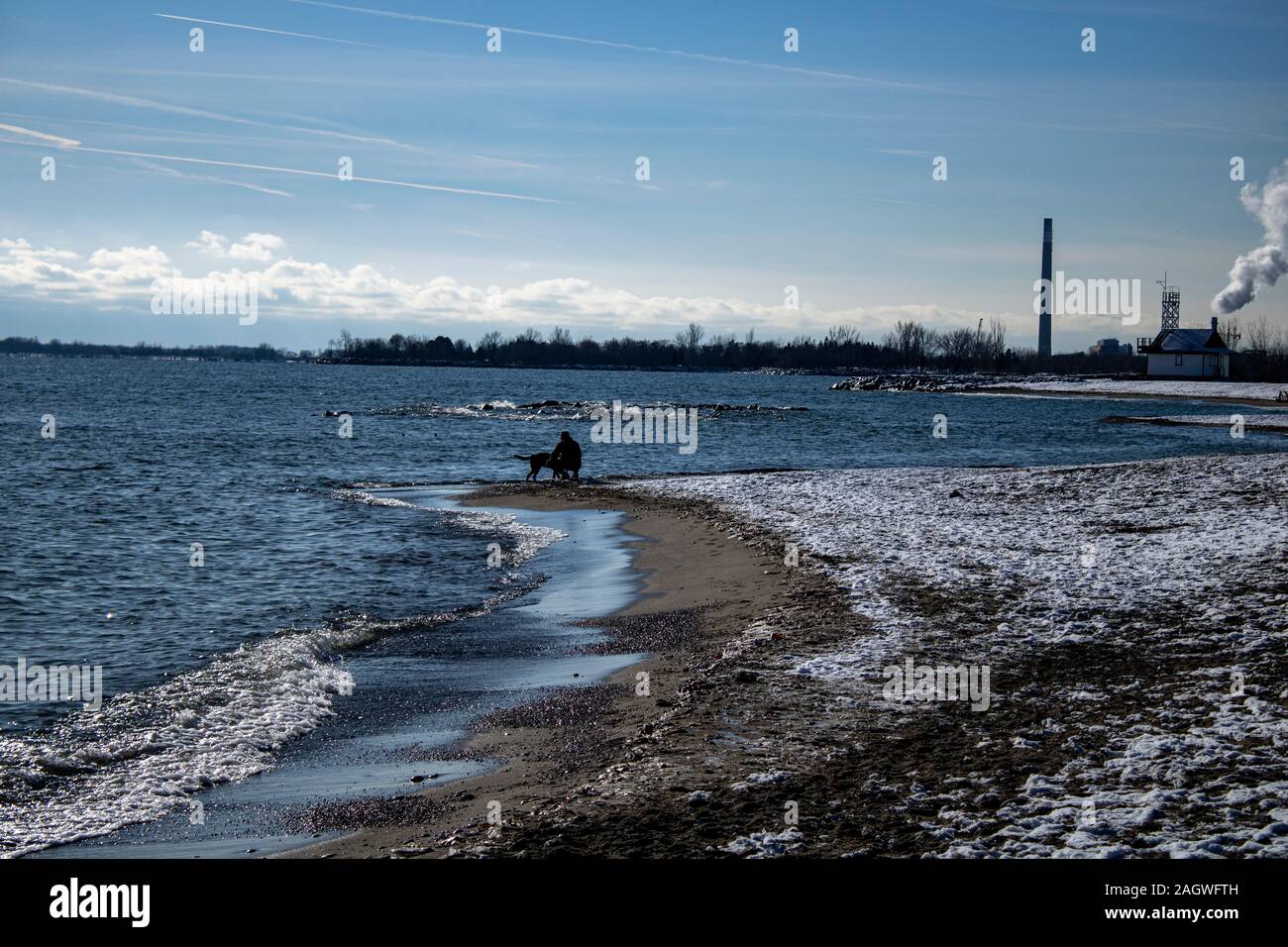 Uomo che accarezza il cane in spiaggia in una fredda giornata invernale Foto Stock