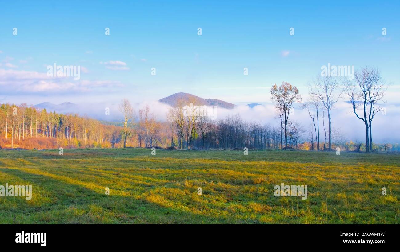 La Svizzera boema nella nebbia sopra le nuvole Foto Stock