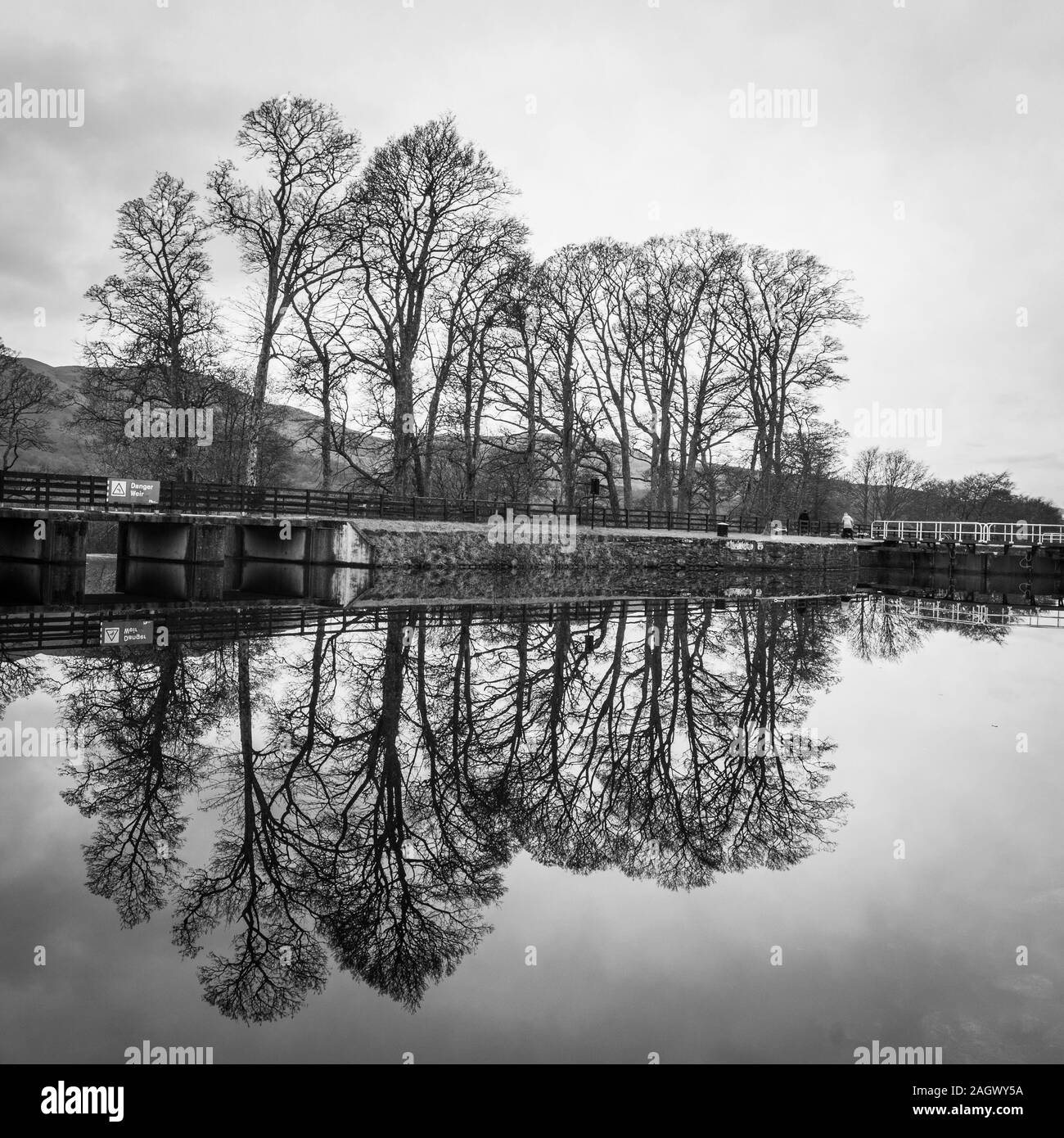 Riflessi di alberi in inverno Foto Stock