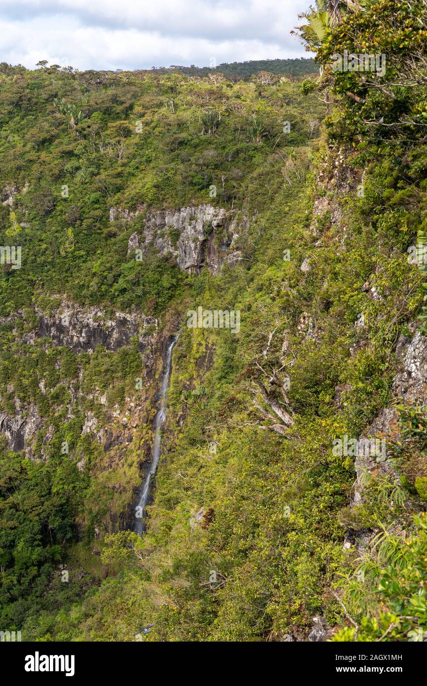 Black River Gorges, Mauritius Foto Stock